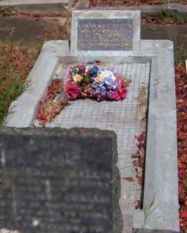 Full-size image