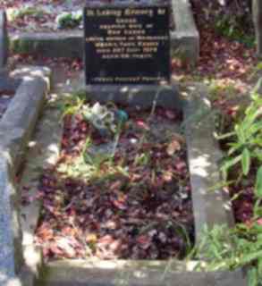 Full-size image