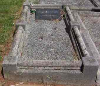 Full-size image