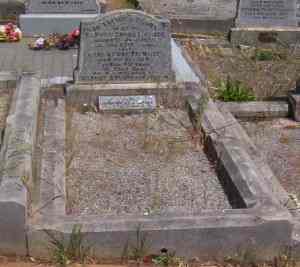 Full-size image