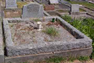 Full-size image