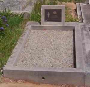 Full-size image