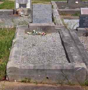 Full-size image