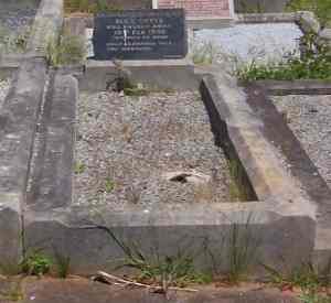 Full-size image