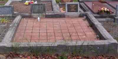 Full-size image