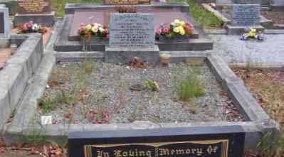 Full-size image