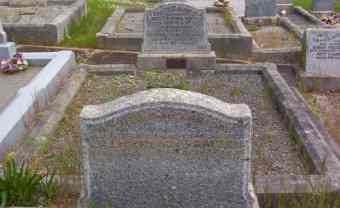 Full-size image