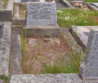 Full-size image