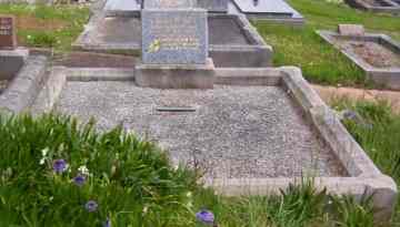 Full-size image
