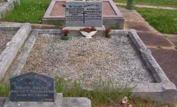 Full-size image