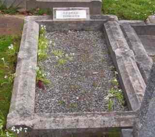 Full-size image
