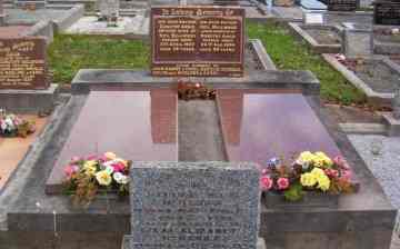 Full-size image