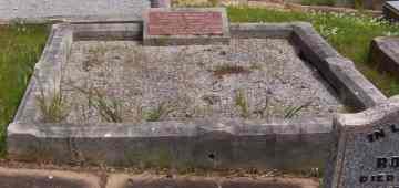 Full-size image