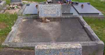 Full-size image