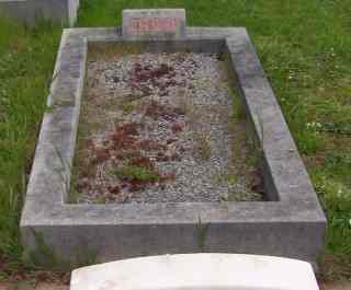 Full-size image
