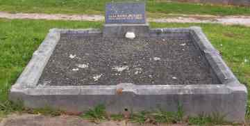 Full-size image
