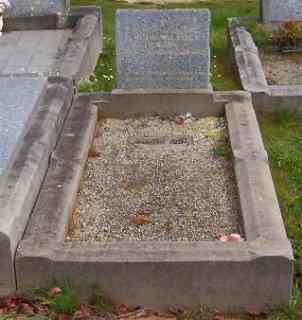 Full-size image