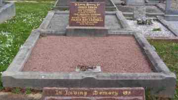 Full-size image