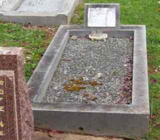 Full-size image