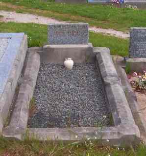 Full-size image