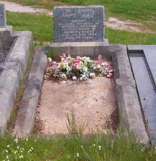 Full-size image