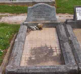 Full-size image