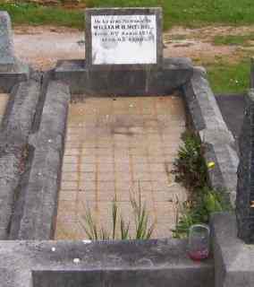 Full-size image