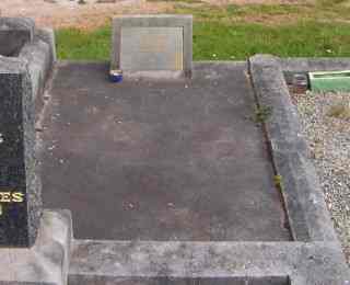 Full-size image