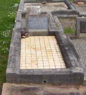 Full-size image