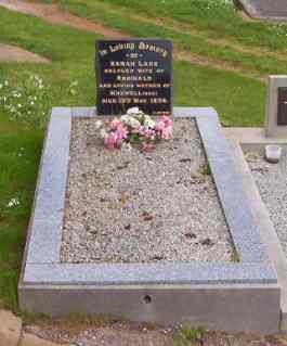 Full-size image
