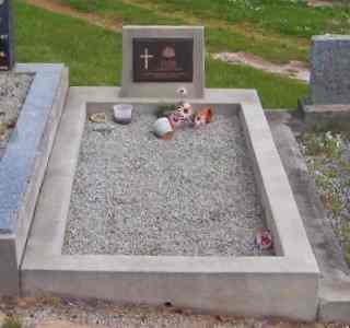 Full-size image