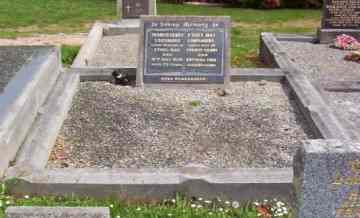Full-size image