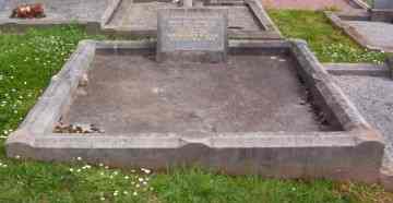 Full-size image