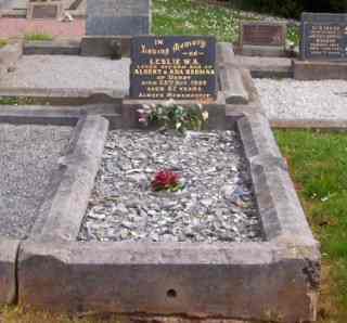 Full-size image