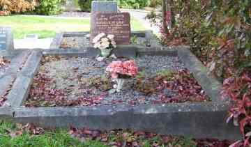 Full-size image