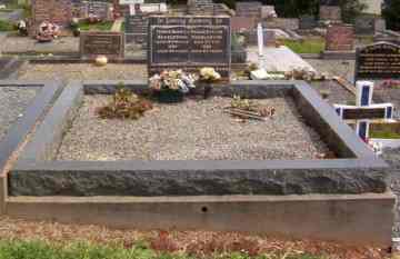 Full-size image