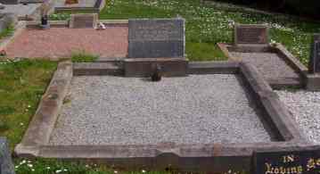 Full-size image