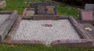 Full-size image