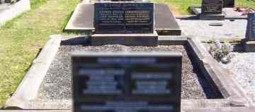 Full-size image