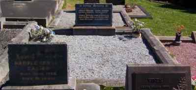 Full-size image