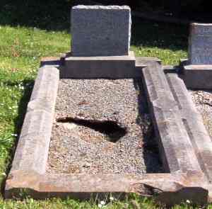 Full-size image