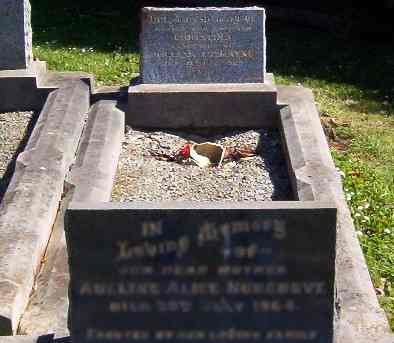Full-size image