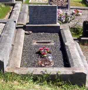Full-size image