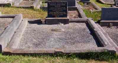 Full-size image