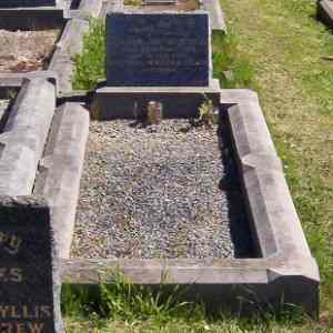 Full-size image
