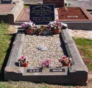 Full-size image