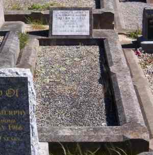Full-size image