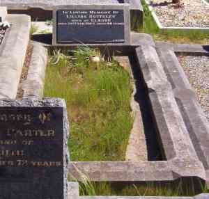 Full-size image