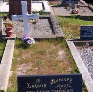 Full-size image