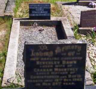 Full-size image
